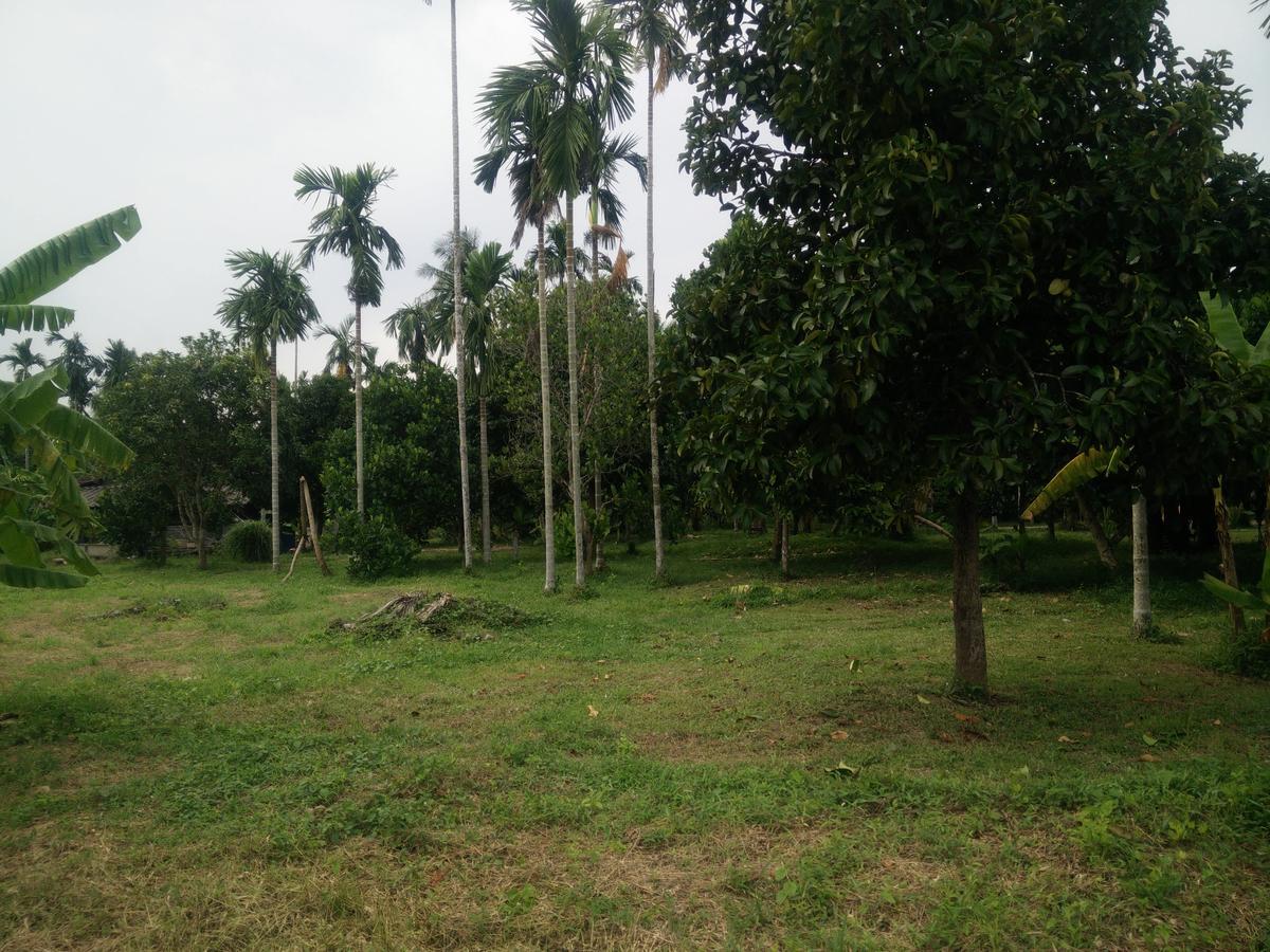 Deva Garden Resort Prachinburi Zewnętrze zdjęcie