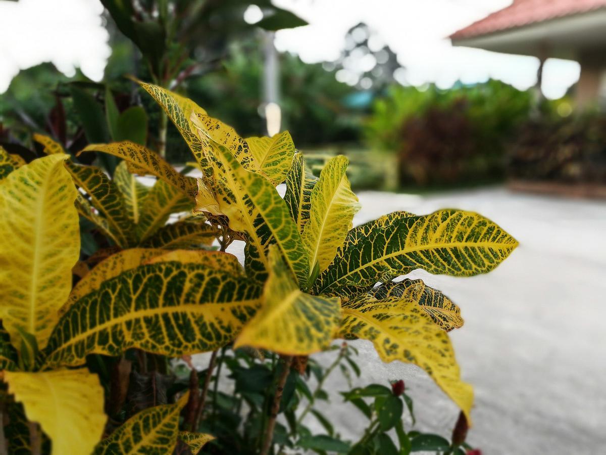 Deva Garden Resort Prachinburi Zewnętrze zdjęcie